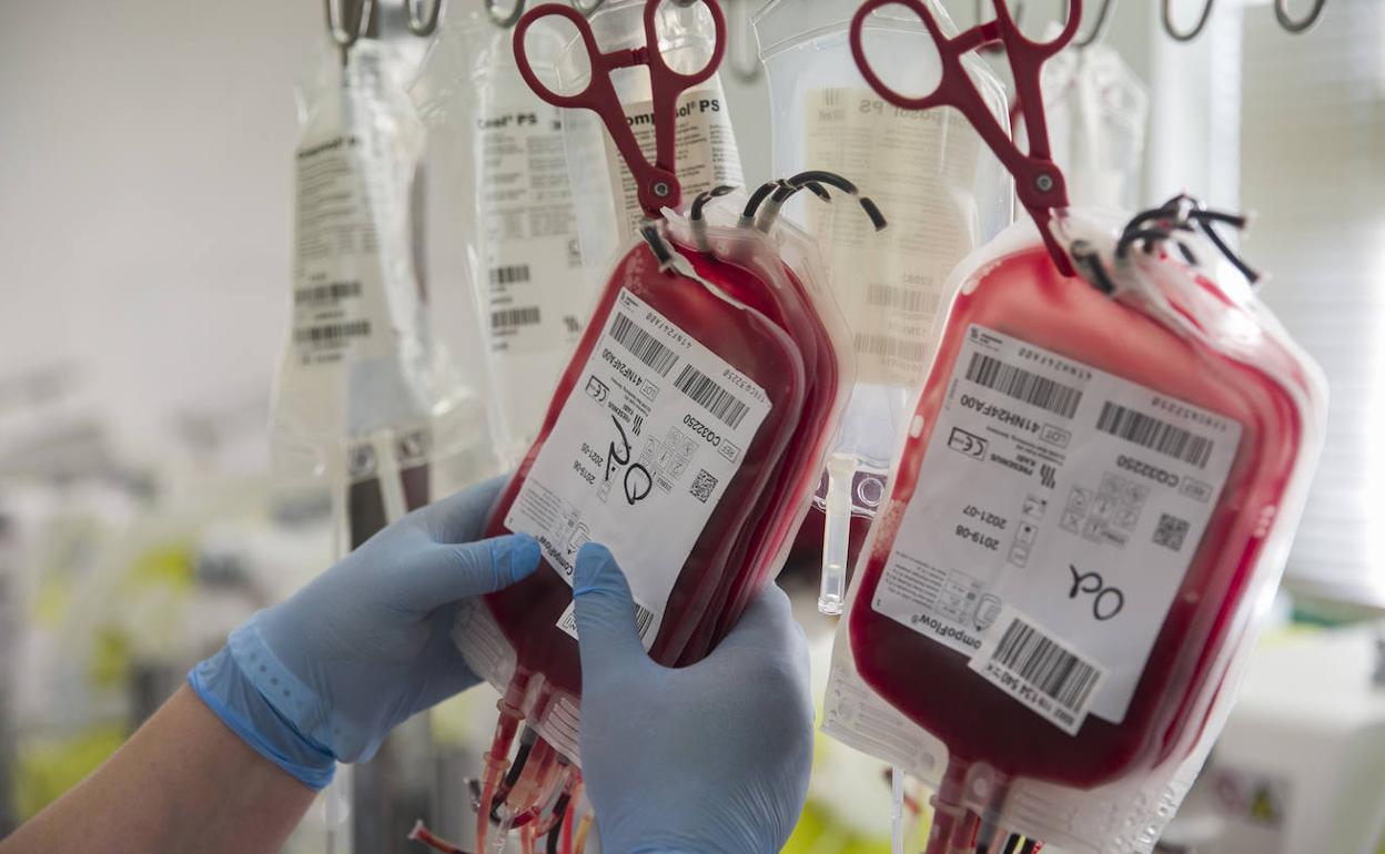 A qué se destinan las donaciones de sangre La Verdad